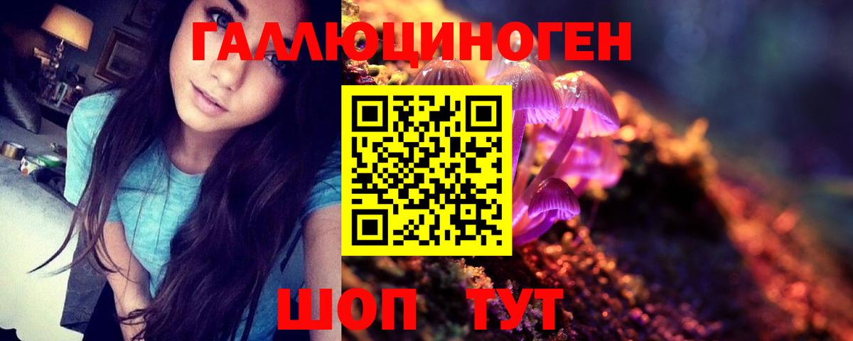 Усть-Джегута  Псилоцибиновые грибы Psilocybe  Вход с VPN  Галлюциногенные грибы Psilocybe 