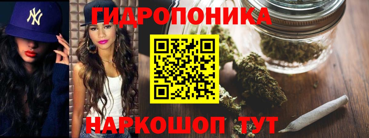 Бошки Шишки OG Kush Усть-Джегута